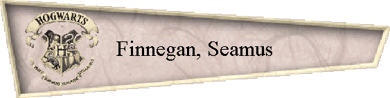 Finnegan, Seamus