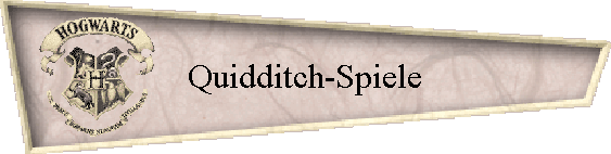 Quidditch-Spiele