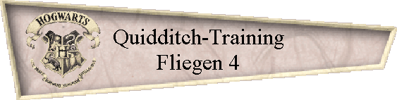 Quidditch-Training
Fliegen 4
